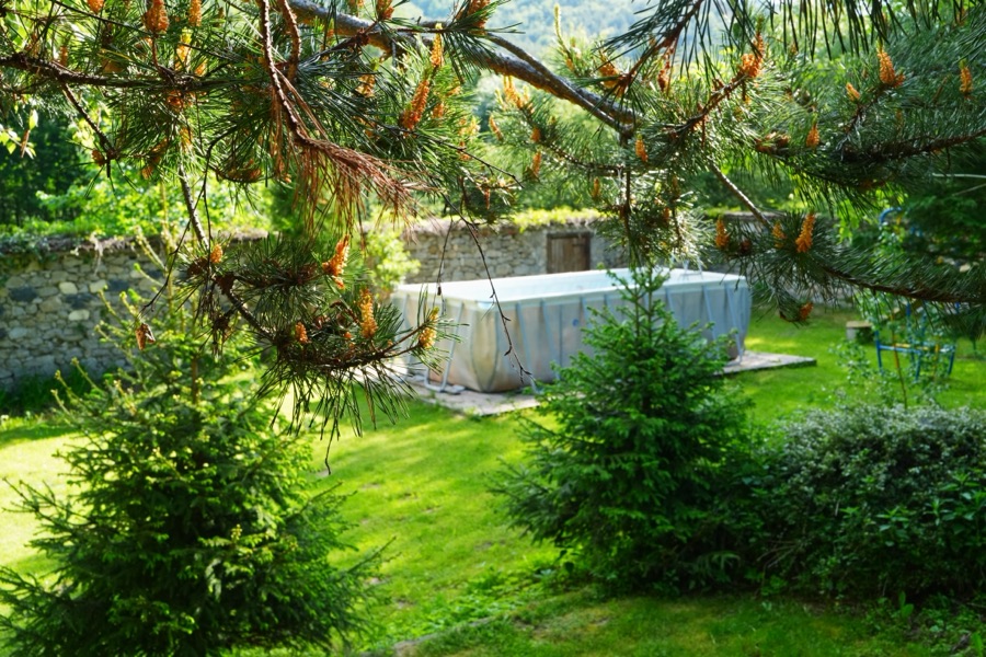 The garden under the pines at Predel Hut
