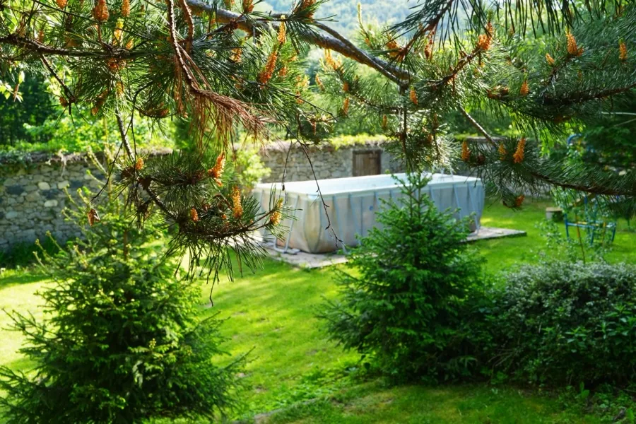 The garden under the pines at Predel Hut