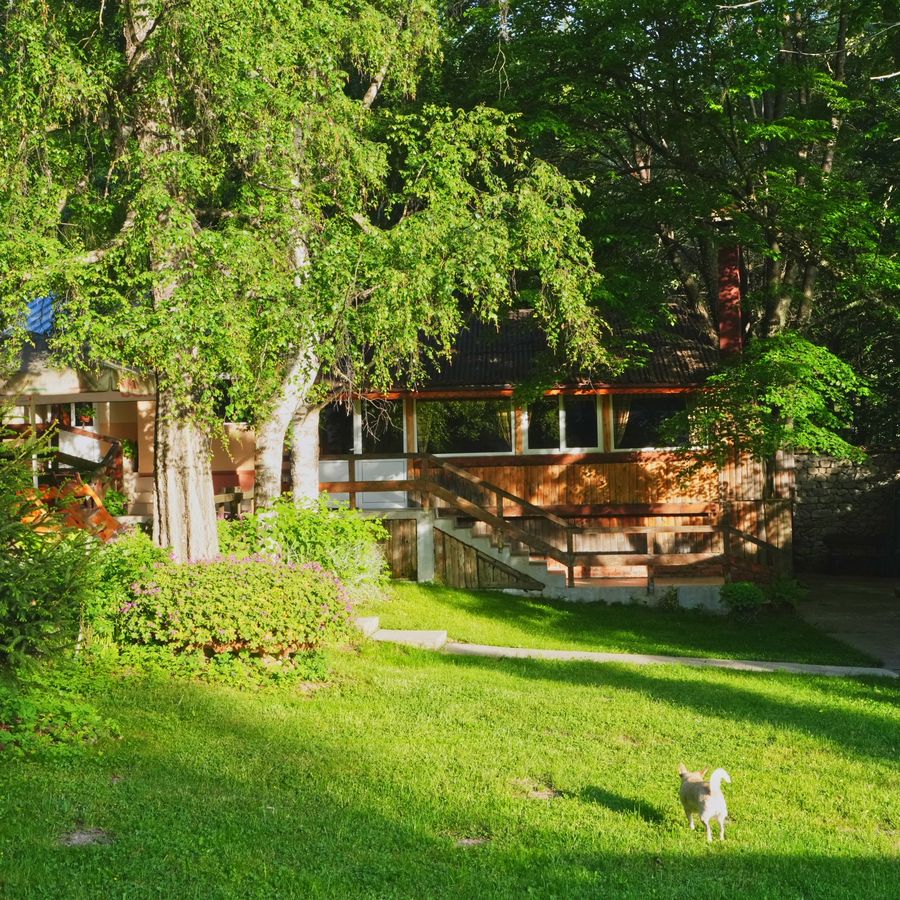 The hut seen across the lawn