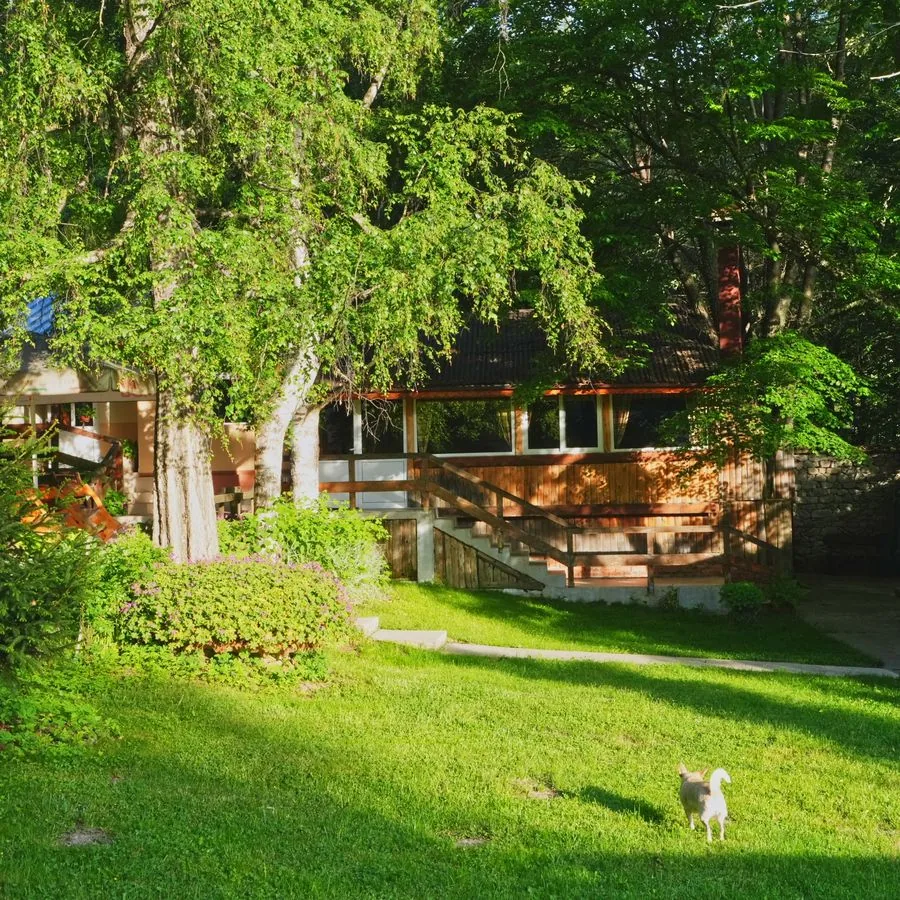 The hut seen across the lawn