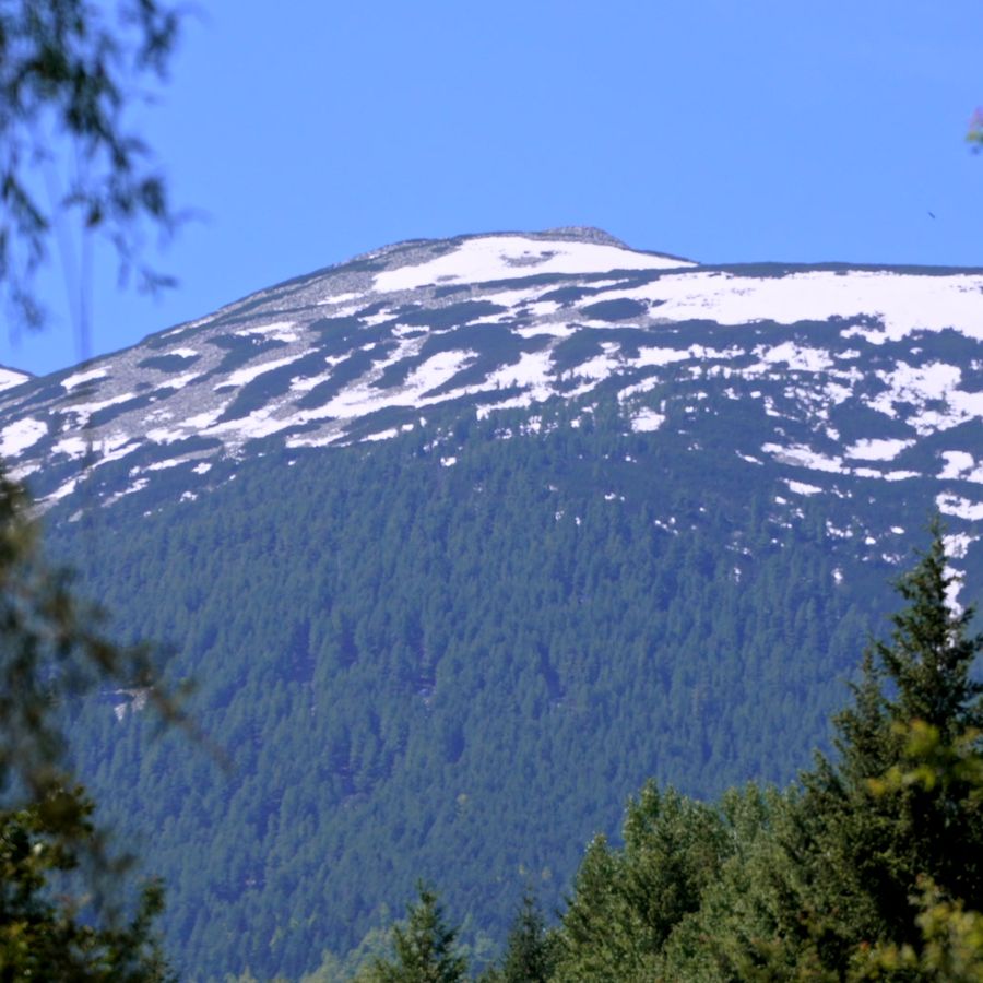 Snow-capped peak seen from Predel